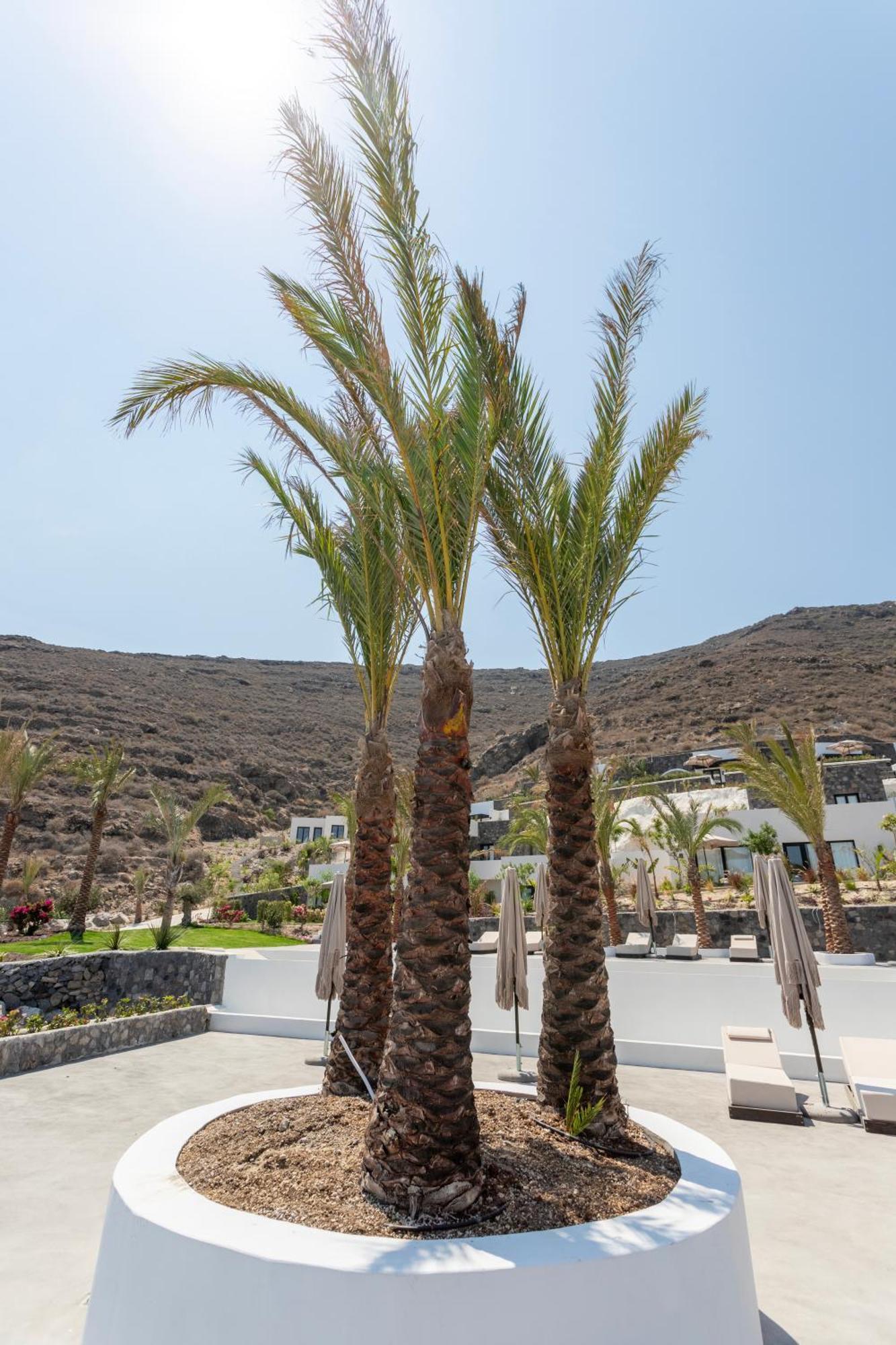 Palm Island Suites Imerovigli  Exterior photo